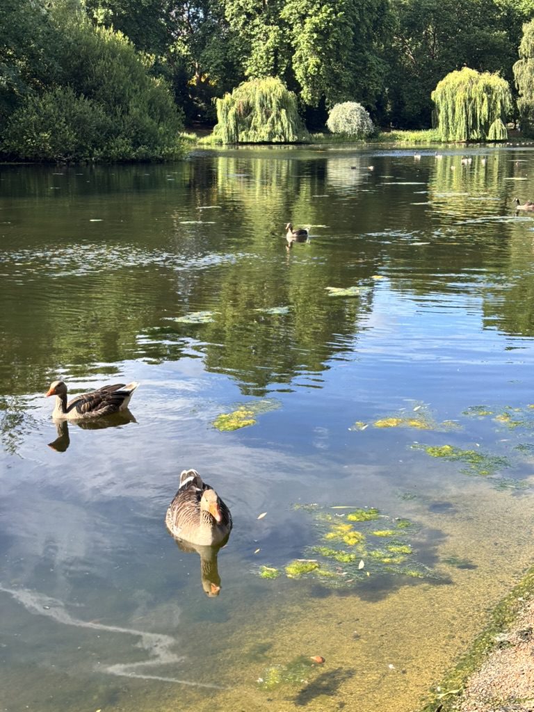 St. James Park