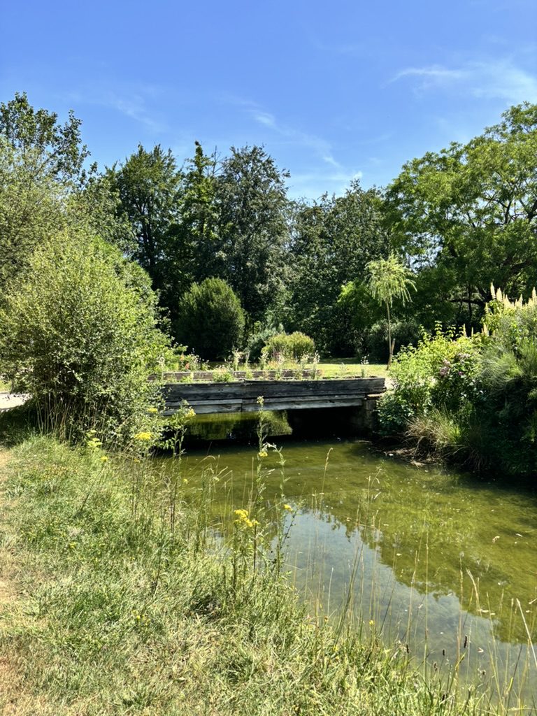 Queens Hamlet