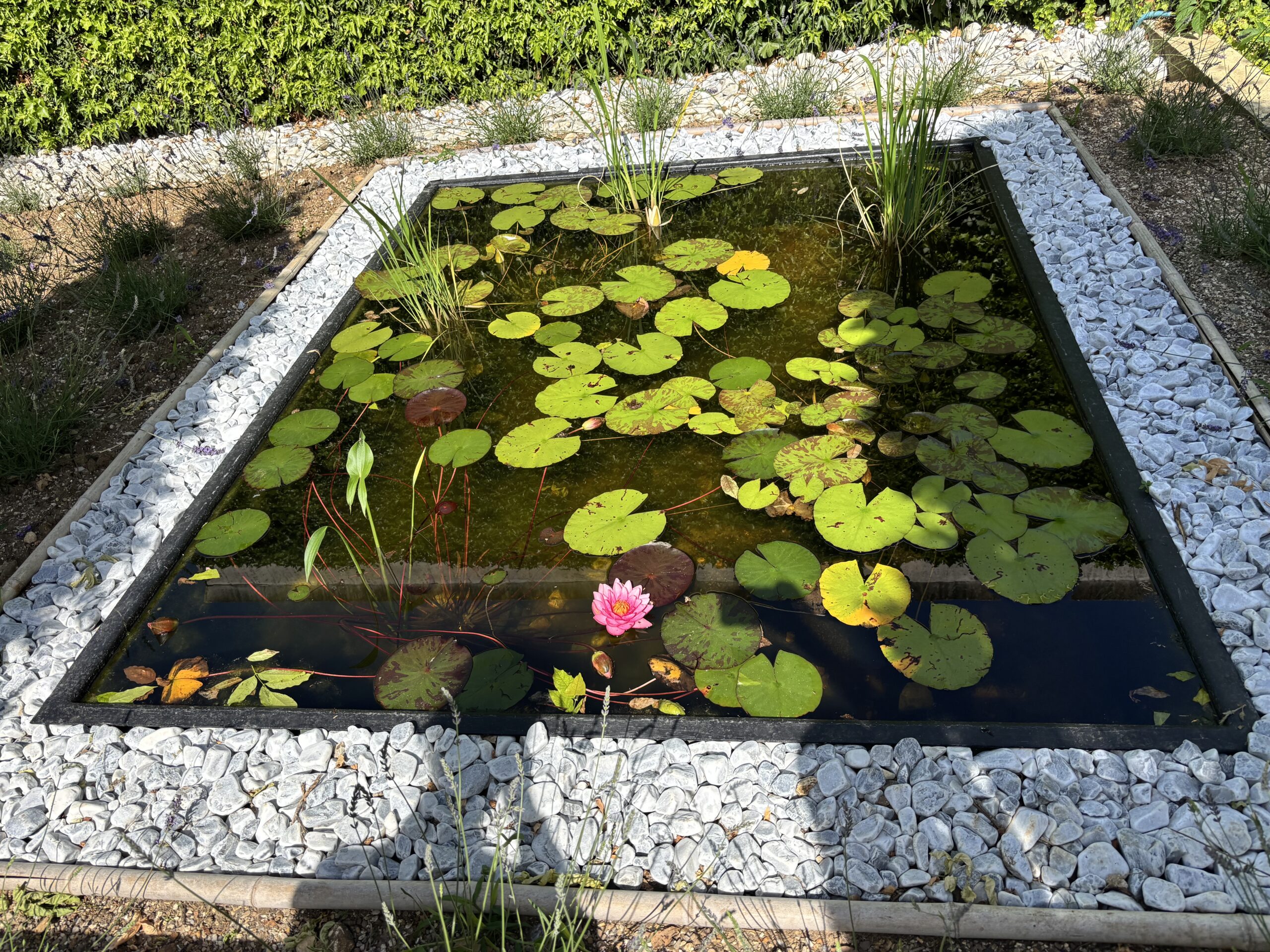 Monet House & Gardens