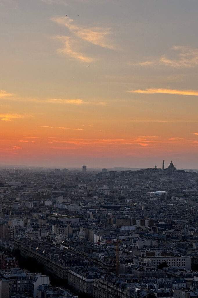 Hyatt Regency Paris Room View