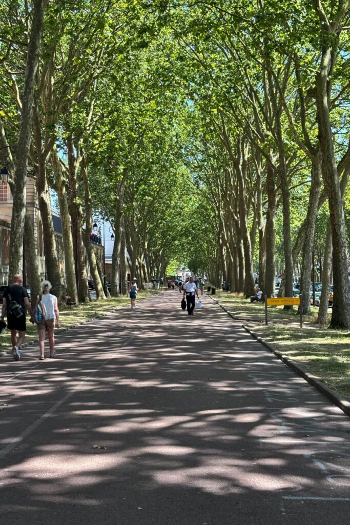 Getting to Versailles