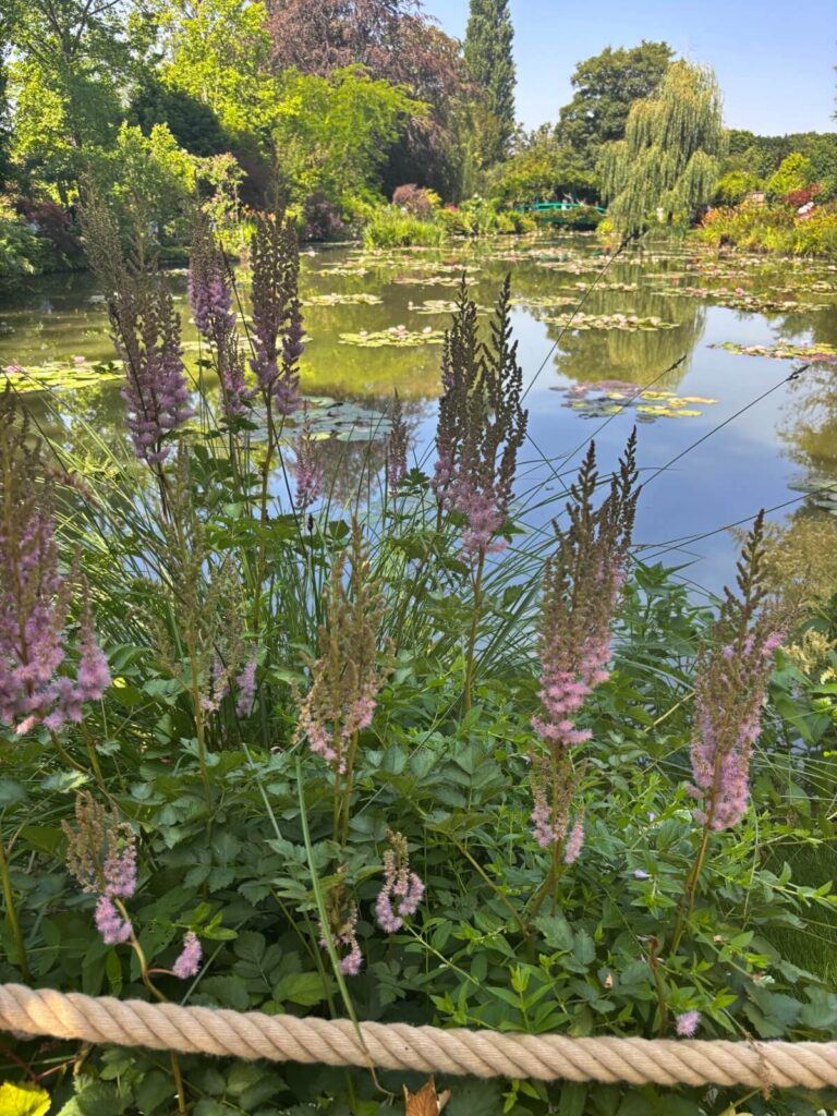 Monet Water Garden Bridge