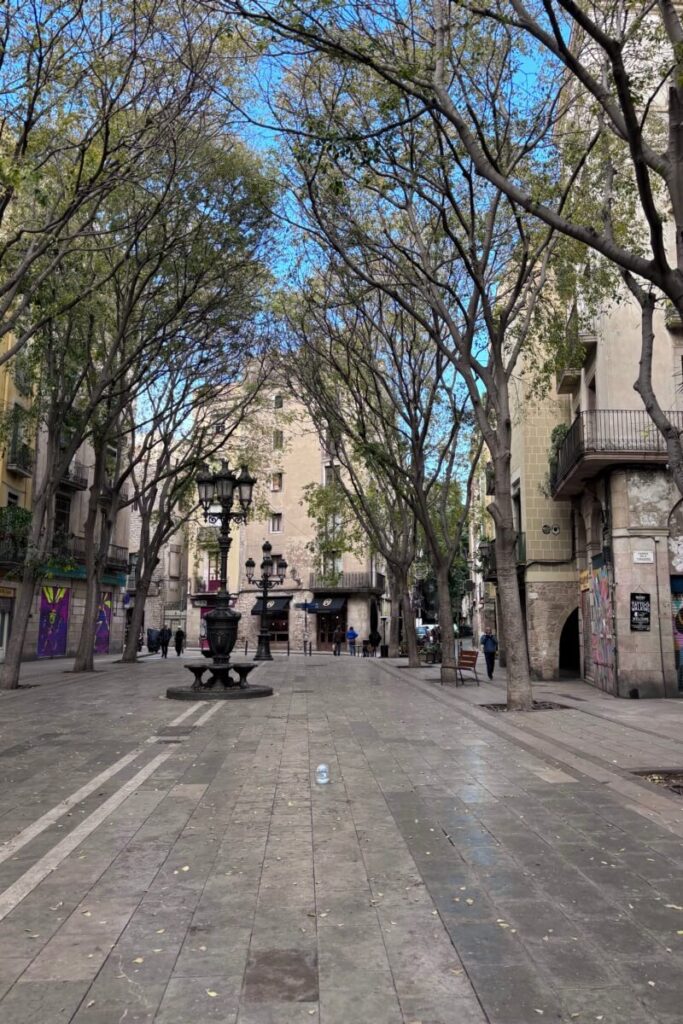 Barcelona street during Winter Break 